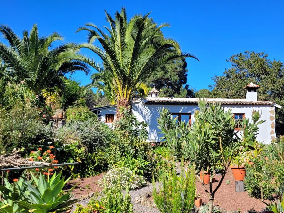 إيكود ذي لوس فينوس Finca Llano De La Cebolla المظهر الخارجي الصورة