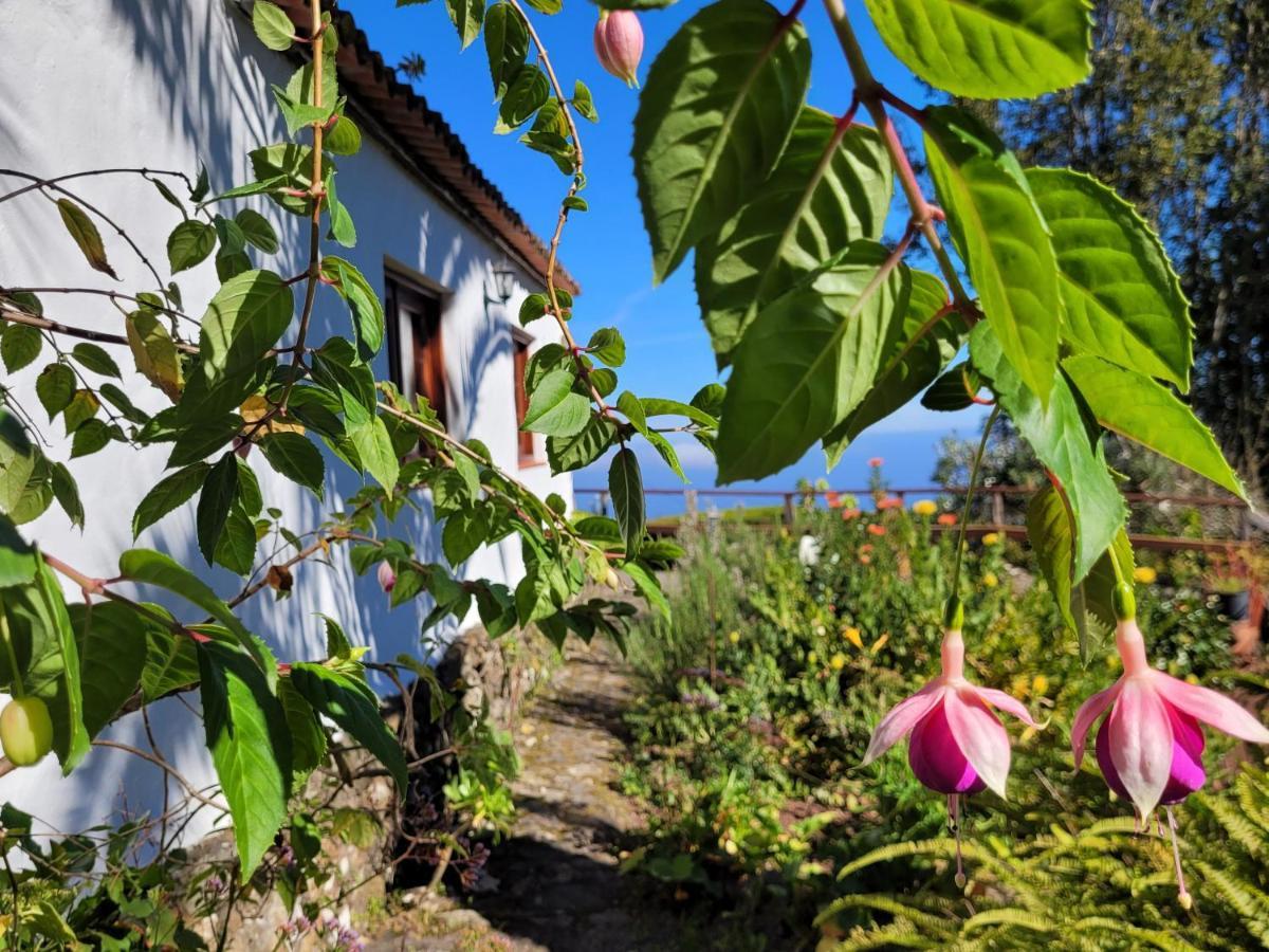 إيكود ذي لوس فينوس Finca Llano De La Cebolla المظهر الخارجي الصورة
