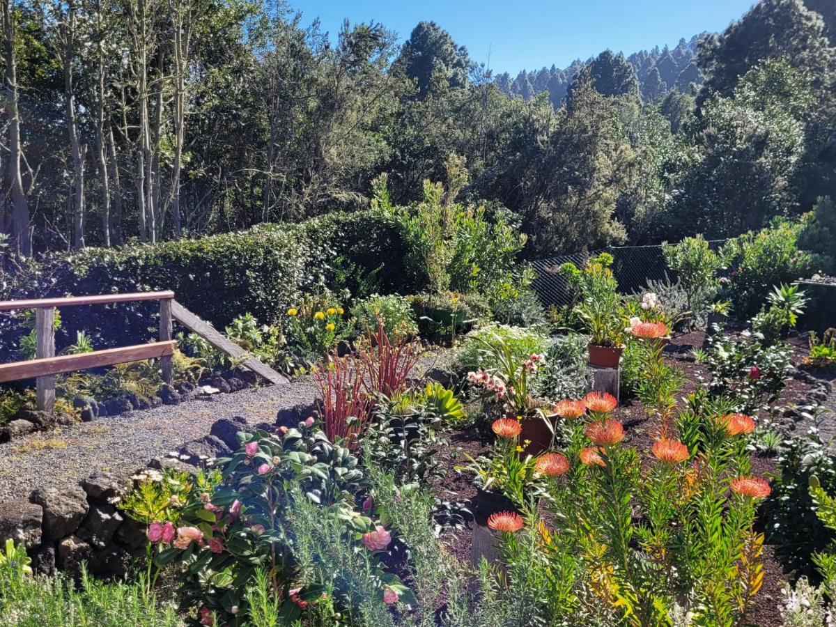 إيكود ذي لوس فينوس Finca Llano De La Cebolla المظهر الخارجي الصورة