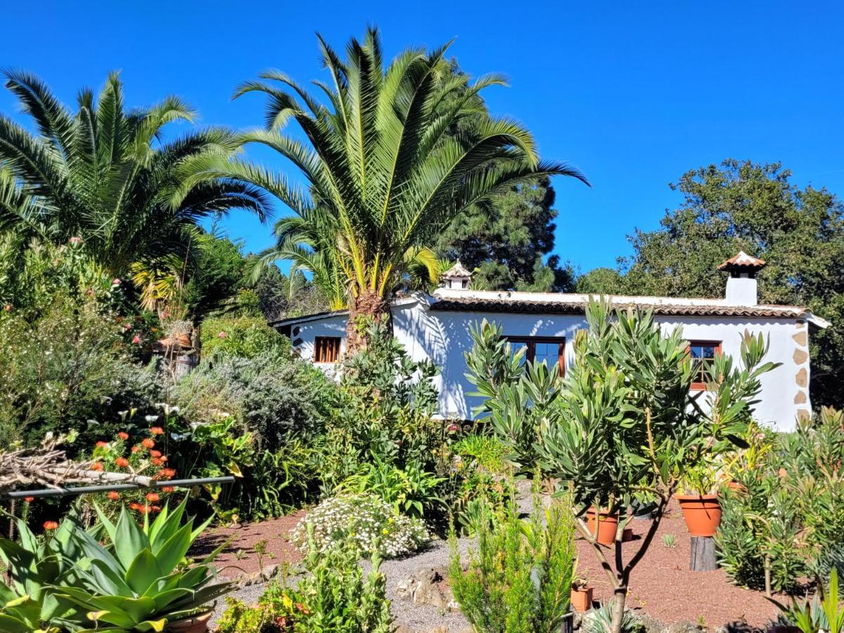 إيكود ذي لوس فينوس Finca Llano De La Cebolla المظهر الخارجي الصورة