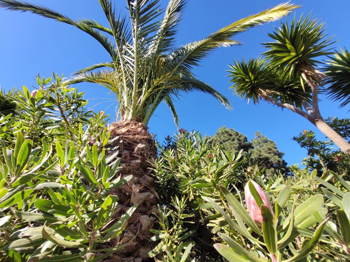 إيكود ذي لوس فينوس Finca Llano De La Cebolla المظهر الخارجي الصورة