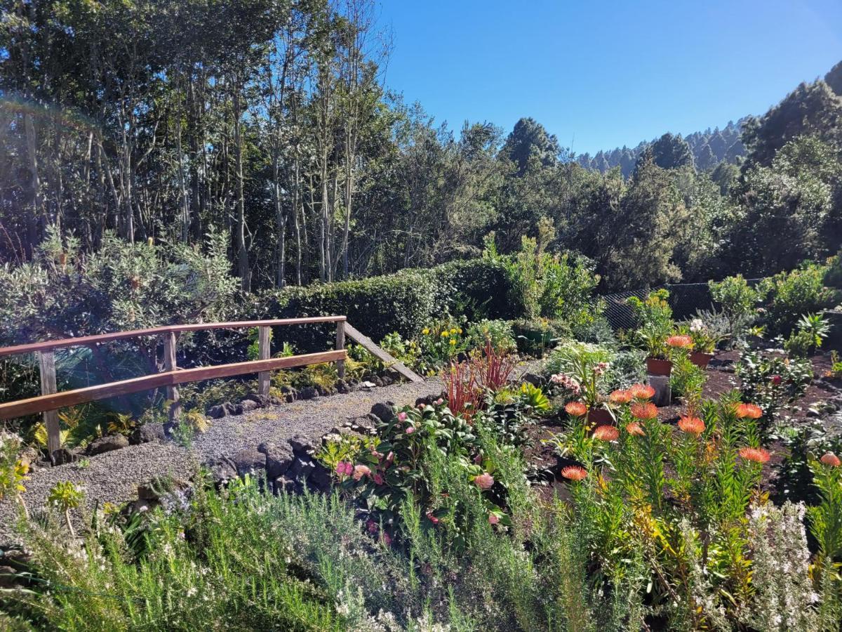 إيكود ذي لوس فينوس Finca Llano De La Cebolla المظهر الخارجي الصورة
