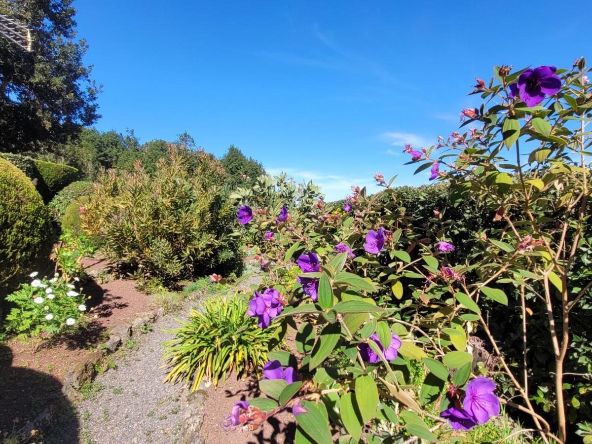 إيكود ذي لوس فينوس Finca Llano De La Cebolla المظهر الخارجي الصورة