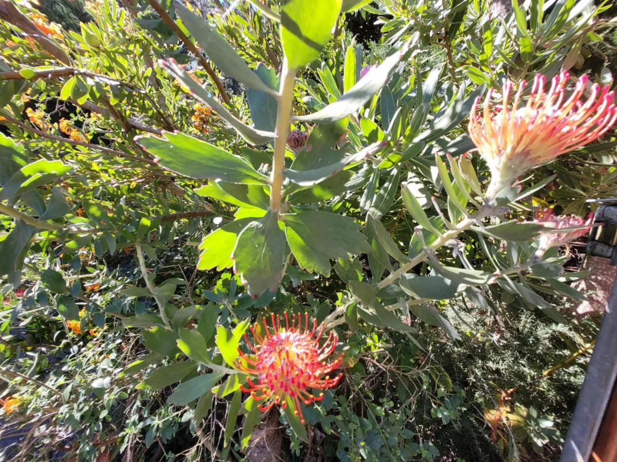 إيكود ذي لوس فينوس Finca Llano De La Cebolla المظهر الخارجي الصورة