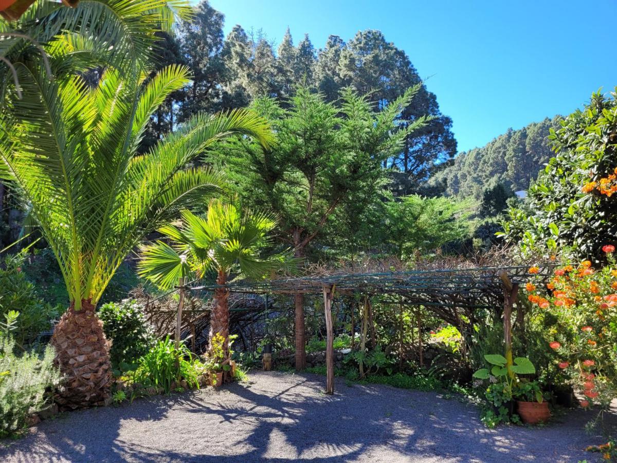 إيكود ذي لوس فينوس Finca Llano De La Cebolla المظهر الخارجي الصورة
