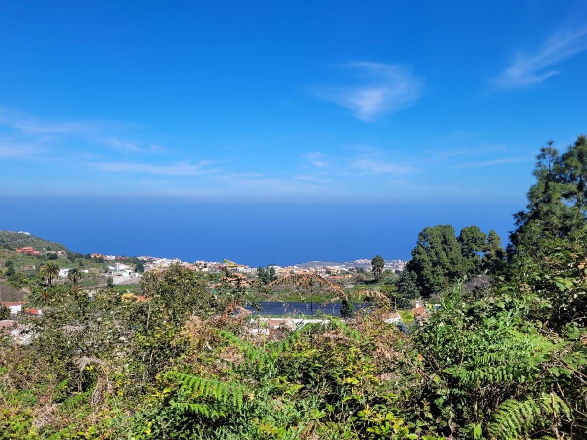إيكود ذي لوس فينوس Finca Llano De La Cebolla المظهر الخارجي الصورة